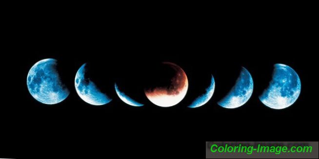 Лунни календарни прически за февруари 2022-2023: хороскоп на бръснаря
