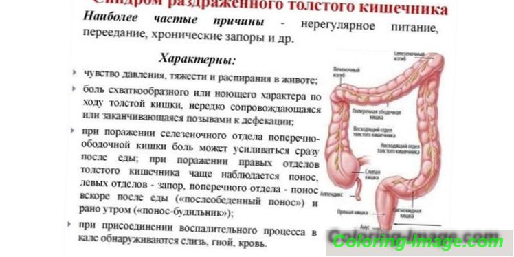 Почему понос жжет. Диета при раздраженном кишечнике. Раздраженный кишечник. Распирание в прямой кишке. Синдром раздраженного кишечника.