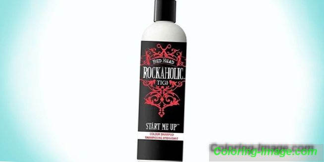 4 šampony pro zachování barvy barvených vlasů - složení, recenze, ceny