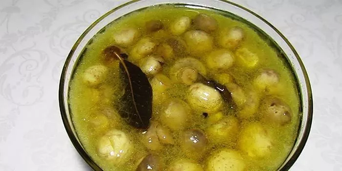 Марината за гъби - как да готвите вкусно за бързо мариноване или буркани за зимата