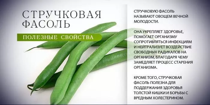 Зелен фасул - полезни свойства, приготвяне на салати, гарнитури и супи от замразени и пресни