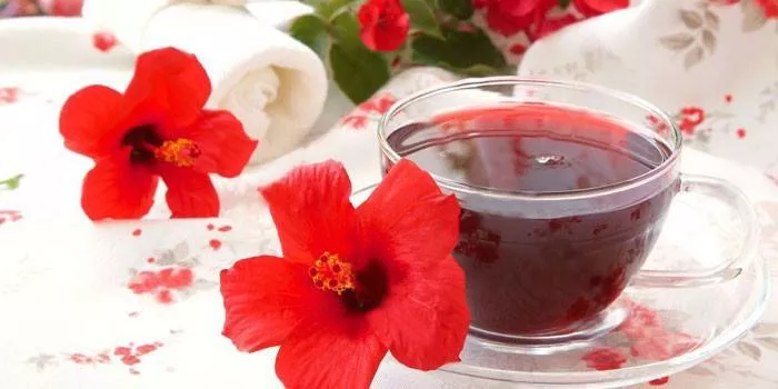 Hibiskus snižava ili povisuje krvni tlak - blagotvorna svojstva hladnog i toplog napitka